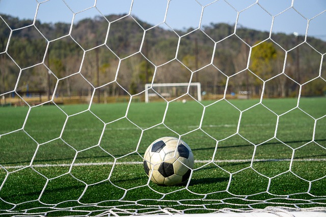 能够在关键 能够在关键