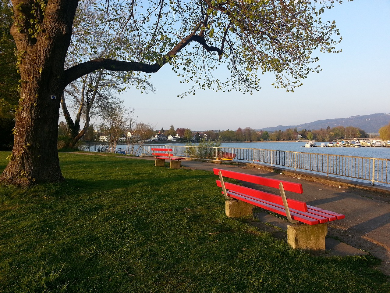 杯上的精彩 杯上的精彩