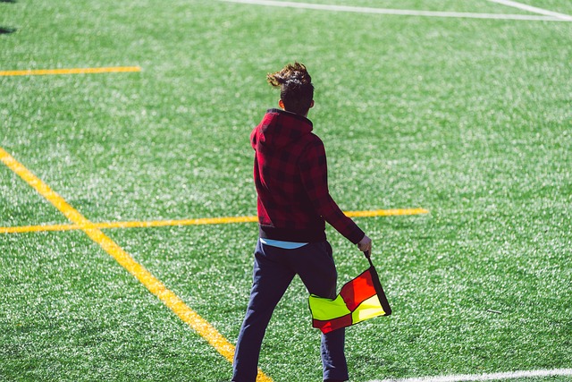 雪走向更光 雪走向更光