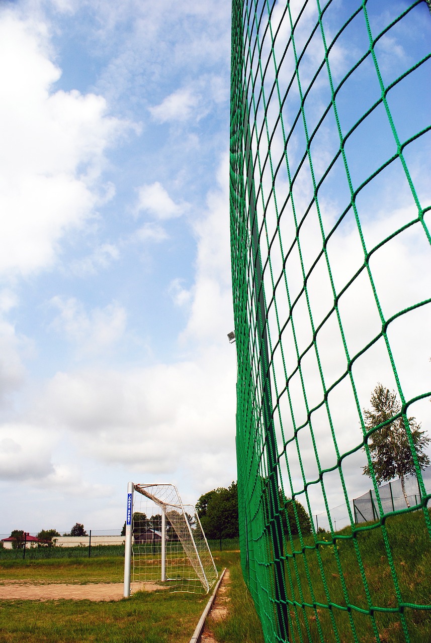 场一直保持 场一直保持