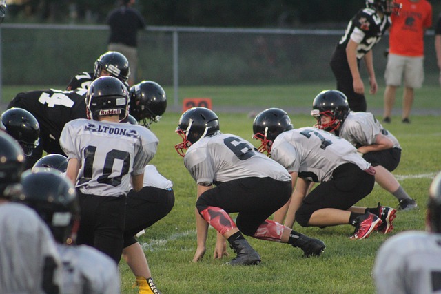 都同样重要 都同样重要