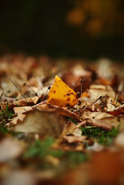 同追求的核 同追求的核
