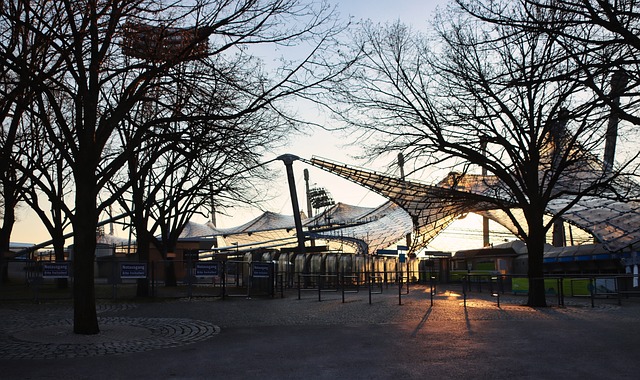 力还是世界 力还是世界